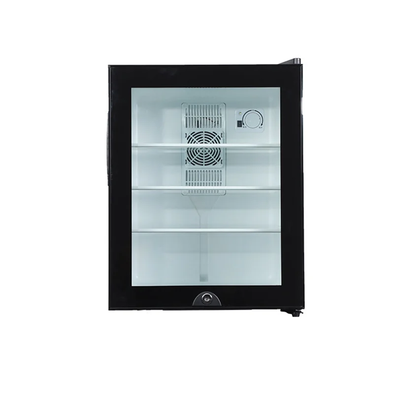 Wine Beer Cooler Fridge - Mini Fridge Cooler 40L Refrigerator Glass