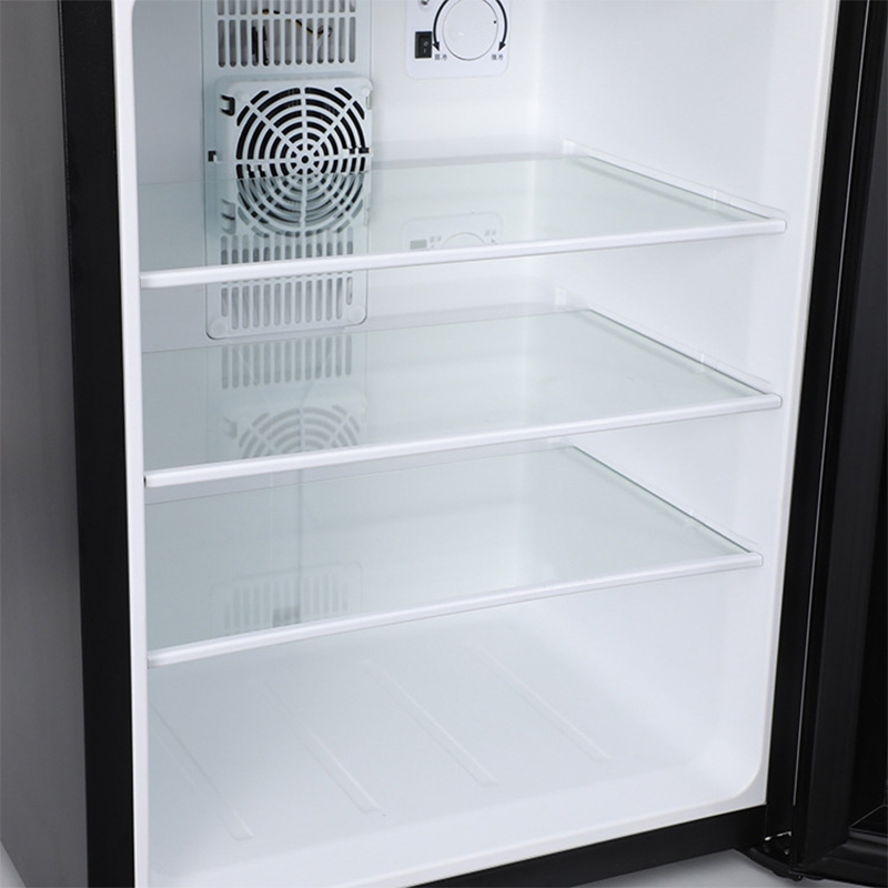 Mini Fridge Cooler 40L Refrige - đánh giá và giá Wine Beer Cooler Fridge