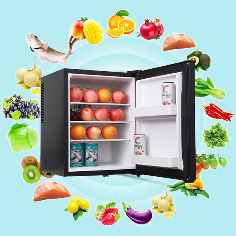 Mini Fridge Cooler 40L Refrige - đánh giá và giá Wine Beer Cooler Fridge