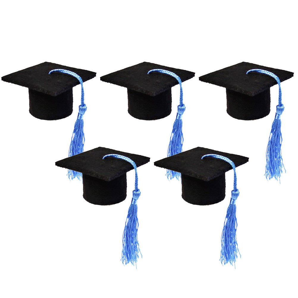 5Pcs Doctoral Cover Light Blue - đánh giá và giá Beer And Wine Festival