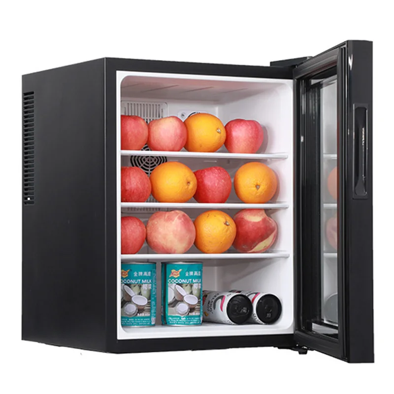 Mini Fridge Cooler 40L Refrige - đánh giá và giá Wine Beer Cooler Fridge