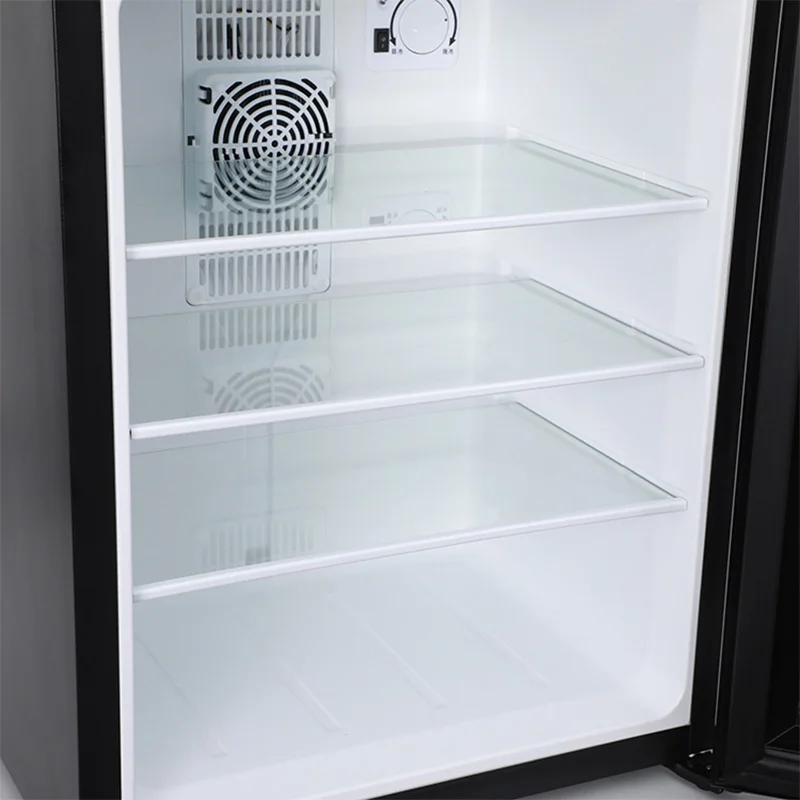Mini Fridge Cooler 40L Refrige - đánh giá và giá Wine Beer Cooler Fridge
